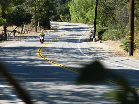 Enlarge photo 20