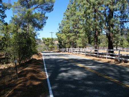 Enlarge photo 6
