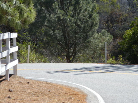 Enlarge photo 20