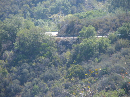 Enlarge photo 12