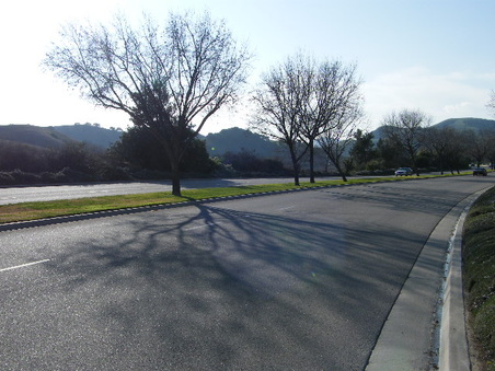 Enlarge photo 17