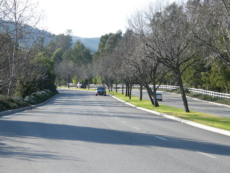 Enlarge photo 21