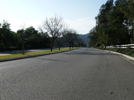 Enlarge photo 25