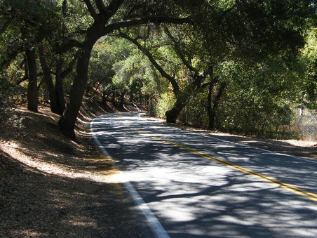 Carlisle Road
