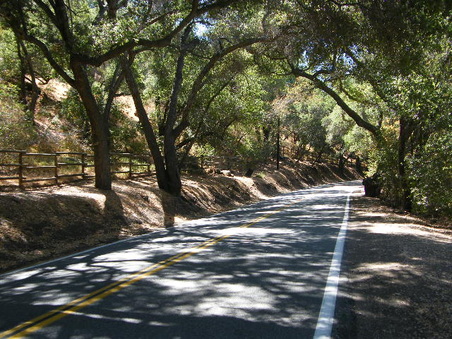Enlarge photo 5