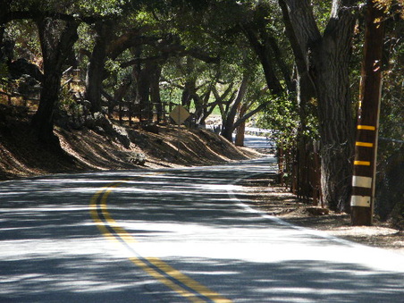 Enlarge photo 7