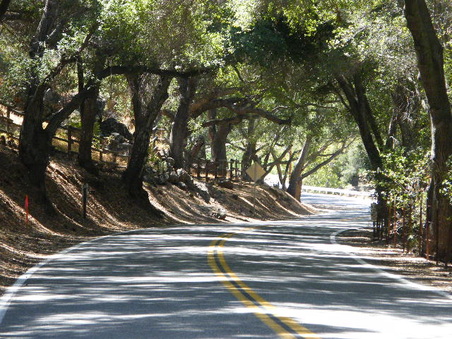 Enlarge photo 8