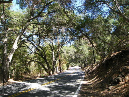 Enlarge photo 16