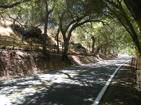 Enlarge photo 18