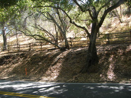 Enlarge photo 19