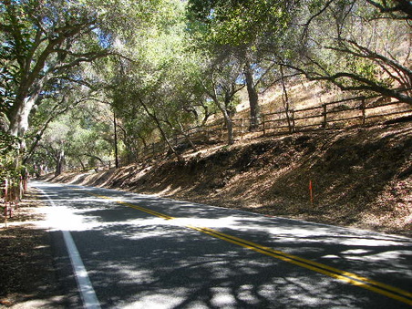 Enlarge photo 20