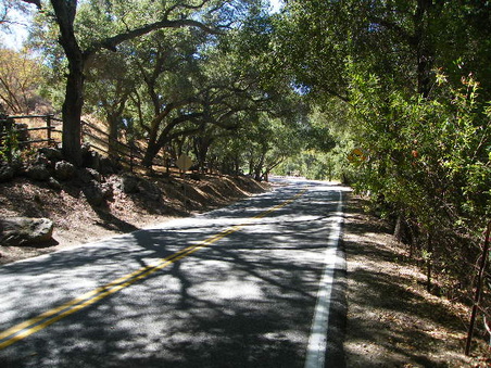 Enlarge photo 21