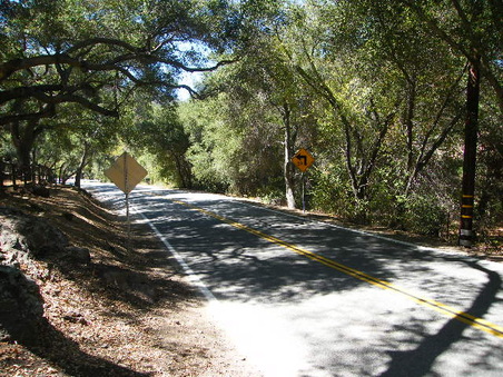 Enlarge photo 22