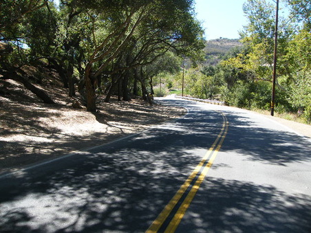 Enlarge photo 29