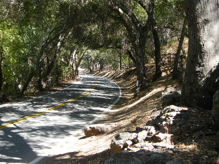Enlarge photo 33