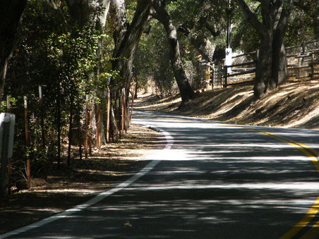 Enlarge photo 34