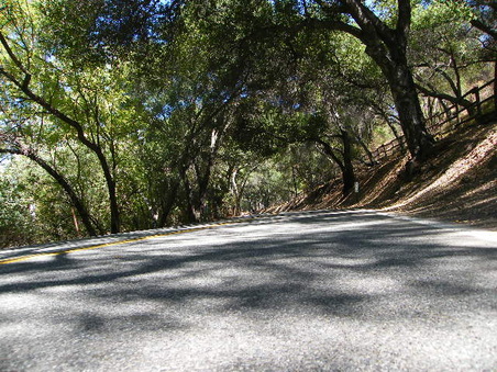 Enlarge photo 35