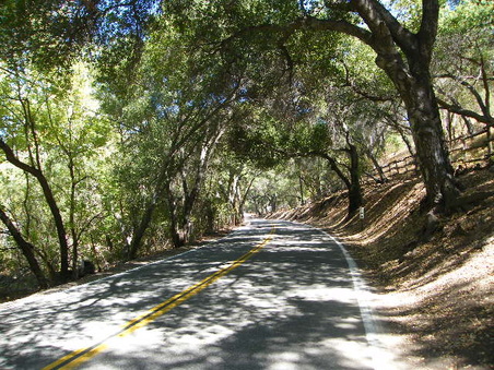 Enlarge photo 36