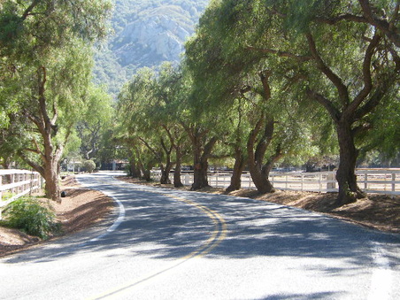 Enlarge photo 4