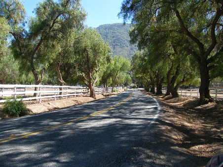 Enlarge photo 6