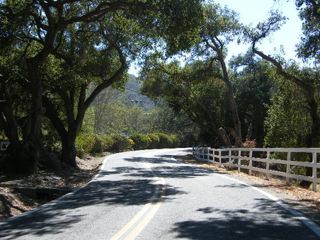 Enlarge photo 7