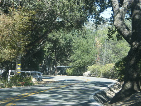 Enlarge photo 9