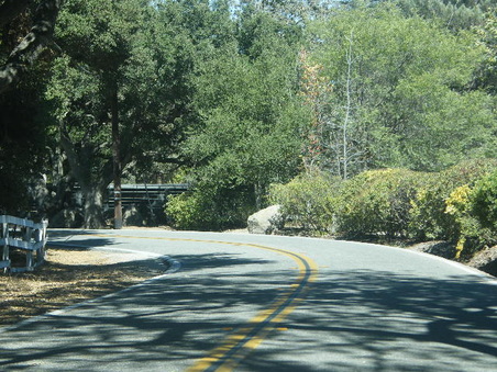 Enlarge photo 10