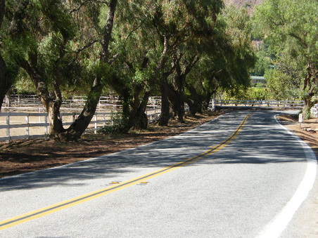 Enlarge photo 18