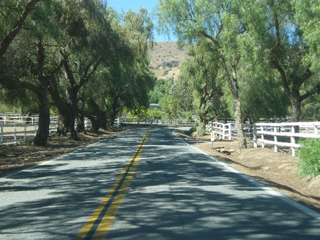 Enlarge photo 20