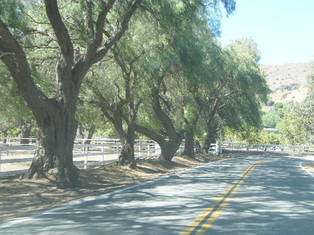 Enlarge photo 21