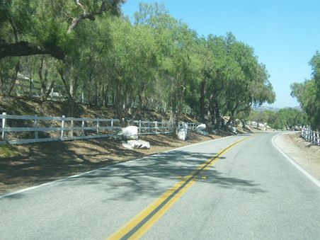 Enlarge photo 23