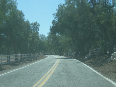 Enlarge photo 25