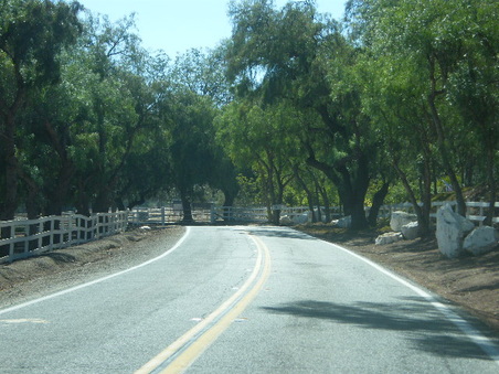 Enlarge photo 26