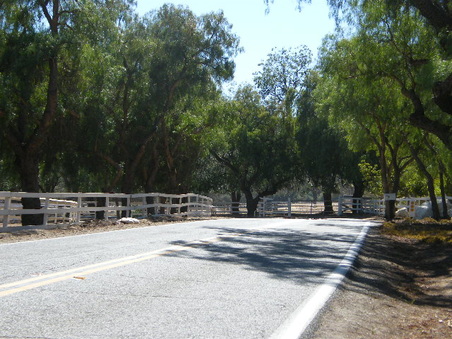 Enlarge photo 27