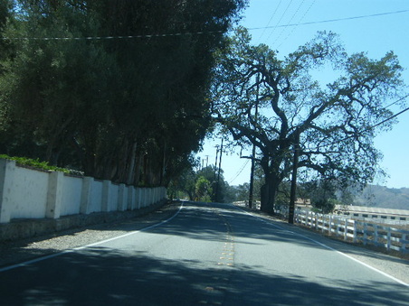 Enlarge photo 13