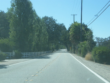 Enlarge photo 14