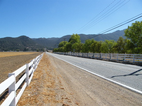 Enlarge photo 19