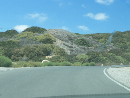Enlarge photo 39
