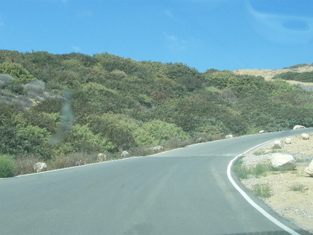 Enlarge photo 40