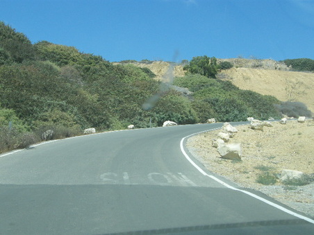 Enlarge photo 41