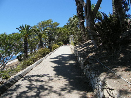 Enlarge photo 2