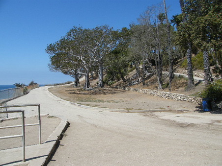 Enlarge photo 11
