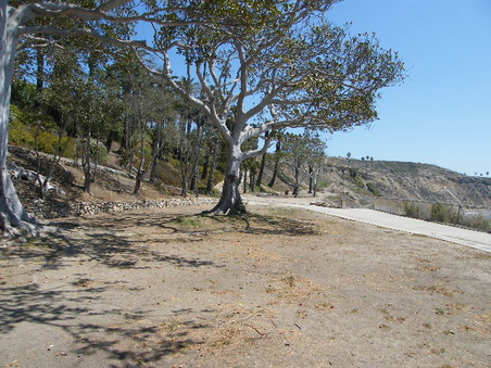 Enlarge photo 18