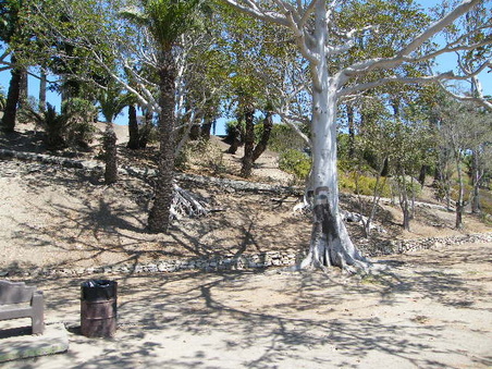 Enlarge photo 19