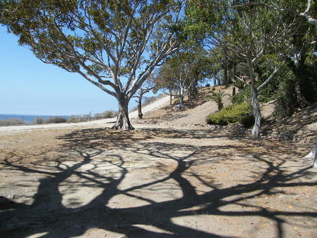 Enlarge photo 21