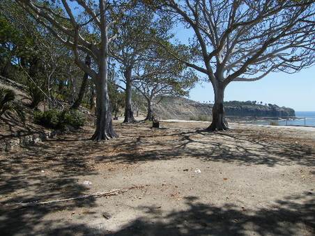 Enlarge photo 24
