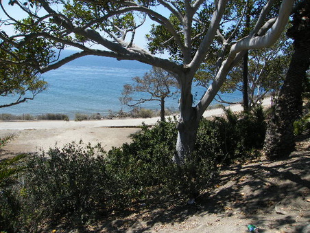 Enlarge photo 29