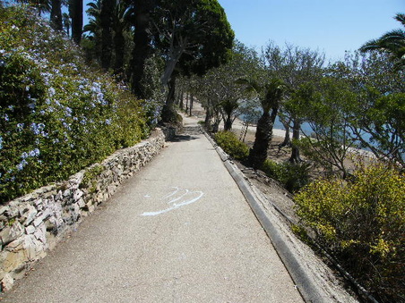 Enlarge photo 30