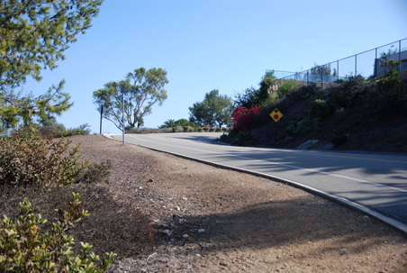 Enlarge photo 39