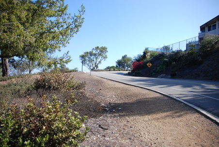 Enlarge photo 40